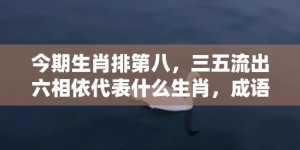 今期生肖排第八，三五流出六相依代表什么生肖，成语释义解释落实