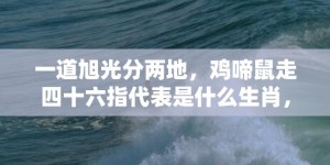 一道旭光分两地，鸡啼鼠走四十六指代表是什么生肖，词语落实释义解答