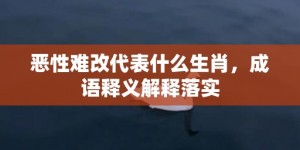 恶性难改代表什么生肖，成语释义解释落实