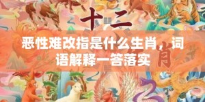 恶性难改指是什么生肖，词语解释一答落实