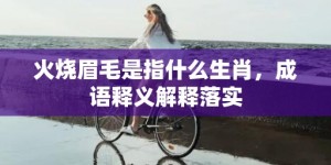 火烧眉毛是指什么生肖，成语释义解释落实