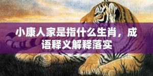 小康人家是指什么生肖，成语释义解释落实