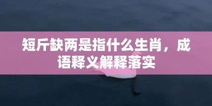 短斤缺两是指什么生肖，成语释义解释落实