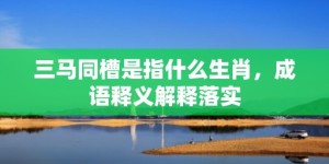 三马同槽是指什么生肖，成语释义解释落实