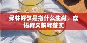 绿林好汉是指什么生肖，成语释义解释落实