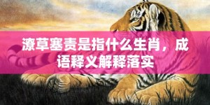 潦草塞责是指什么生肖，成语释义解释落实