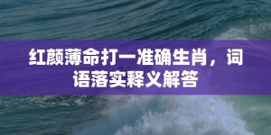 红颜薄命打一准确生肖，词语落实释义解答