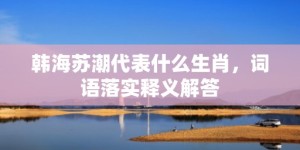 韩海苏潮代表什么生肖，词语落实释义解答