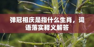 弹冠相庆是指什么生肖，词语落实释义解答