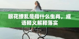 眼花缭乱是指什么生肖，成语释义解释落实