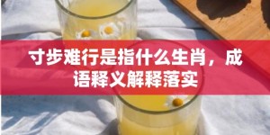 寸步难行是指什么生肖，成语释义解释落实