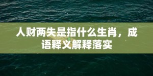 人财两失是指什么生肖，成语释义解释落实