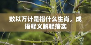 数以万计是指什么生肖，成语释义解释落实