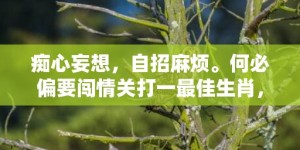 痴心妄想，自招麻烦。何必偏要闯情关打一最佳生肖，成语释义解释落实