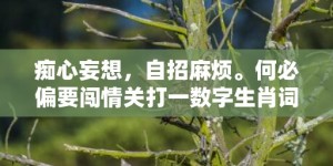 痴心妄想，自招麻烦。何必偏要闯情关打一数字生肖词语，成语释义解释落实