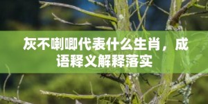 灰不喇唧代表什么生肖，成语释义解释落实