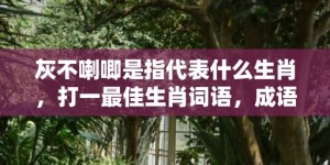 灰不喇唧是指代表什么生肖，打一最佳生肖词语，成语释义解释落实