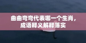 曲曲弯弯代表哪一个生肖，成语释义解释落实