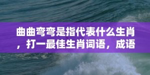 曲曲弯弯是指代表什么生肖，打一最佳生肖词语，成语释义解释落实