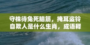 守株待兔死脑筋，掩耳盗铃自欺人是什么生肖，成语释义解释落实