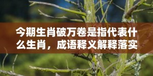 今期生肖破万卷是指代表什么生肖，成语释义解释落实