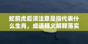 蛇前虎后须注意是指代表什么生肖，成语释义解释落实