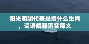 阳光明媚代表是指什么生肖，词语解释落实释义