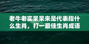 老牛老实呆呆来是代表指什么生肖，打一最佳生肖成语解释