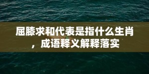 屈膝求和代表是指什么生肖，成语释义解释落实