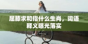 屈膝求和指什么生肖，词语释义曝光落实