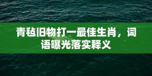 青毡旧物打一最佳生肖，词语曝光落实释义