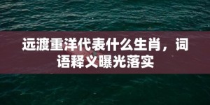 远渡重洋代表什么生肖，词语释义曝光落实