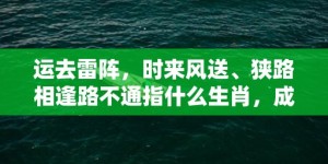 运去雷阵，时来风送、狭路相逢路不通指什么生肖，成语释义解释落实