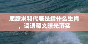 屈膝求和代表是指什么生肖，词语释义曝光落实