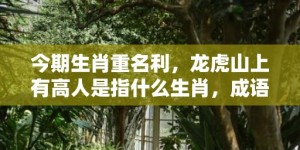 今期生肖重名利，龙虎山上有高人是指什么生肖，成语释义解释落实