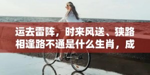 运去雷阵，时来风送、狭路相逢路不通是什么生肖，成语释义解释落实