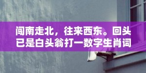 闯南走北，往来西东。回头已是白头翁打一数字生肖词语，成语释义解释落实