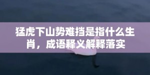 猛虎下山势难挡是指什么生肖，成语释义解释落实