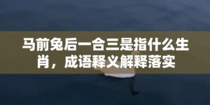 马前兔后一合三是指什么生肖，成语释义解释落实