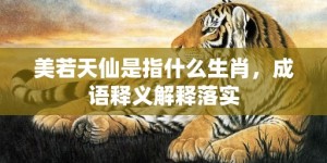 美若天仙是指什么生肖，成语释义解释落实