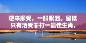 逆来顺受，一股眼泪。留低只有活受罪打一最佳生肖，成语释义解释落实