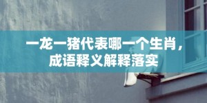 一龙一猪代表哪一个生肖，成语释义解释落实