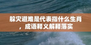 躲灾避难是代表指什么生肖，成语释义解释落实