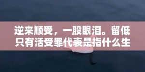 逆来顺受，一股眼泪。留低只有活受罪代表是指什么生肖，成语释义解释落实