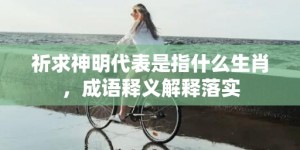 祈求神明代表是指什么生肖，成语释义解释落实