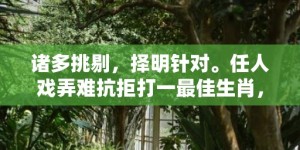 诸多挑剔，择明针对。任人戏弄难抗拒打一最佳生肖，成语释义解释落实