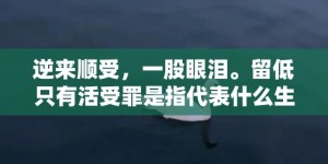 逆来顺受，一股眼泪。留低只有活受罪是指代表什么生肖，打一最佳生肖词语，成语释义解释落实