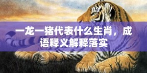 一龙一猪代表什么生肖，成语释义解释落实