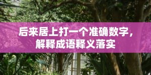 后来居上打一个准确数字，解释成语释义落实