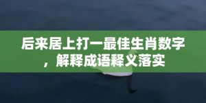 后来居上打一最佳生肖数字，解释成语释义落实